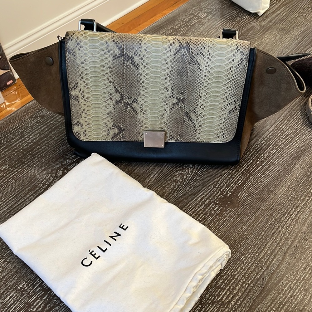 Trapze Python Cline Bag - image 1